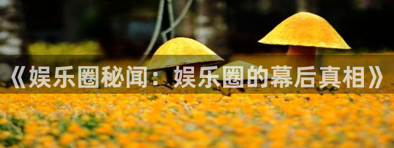 尊龙人生就是搏z6