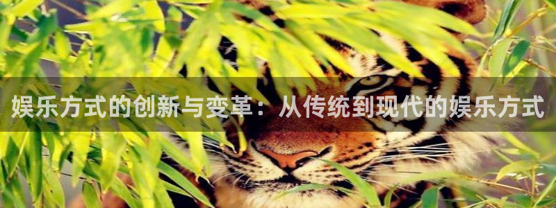 尊龙凯时人生就是搏集团