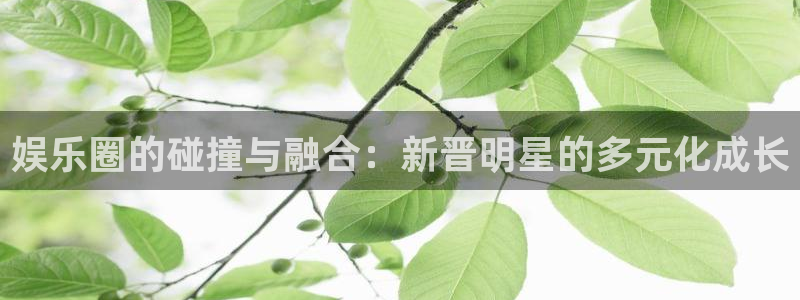 尊龙凯时人生就是搏官网登录：娱乐圈的碰撞与融合：新晋明星的多元化成长