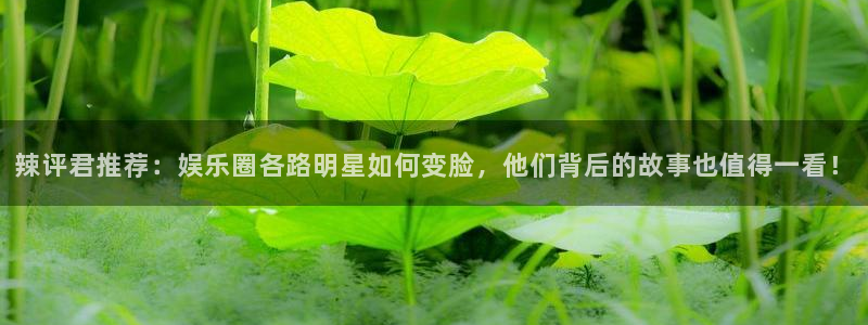 凯龙尊时一人生就是搏：辣评君推荐：娱乐圈各路明星如何变脸，他们背后的故事也值得一看！
