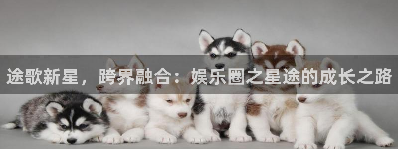 尊龙凯时人生就是搏：途歌新星，跨界融合：娱乐圈之星途的成长之路