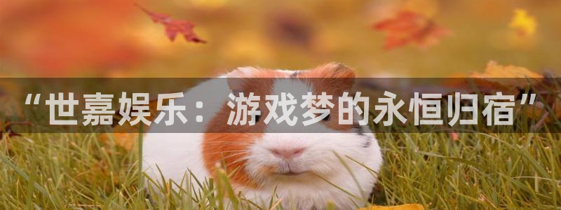 尊龙凯时人生就是搏官网登录：“世嘉娱乐：游戏梦的永恒归宿”