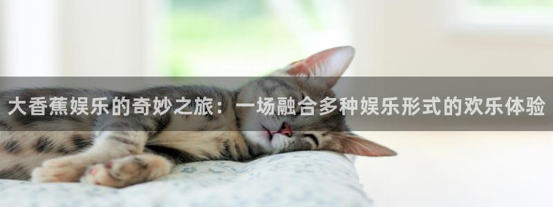 z6com(尊龙)人生就是搏股份有限公司：大香蕉娱乐的奇妙之旅：一场融合多种娱乐形式的欢乐体验