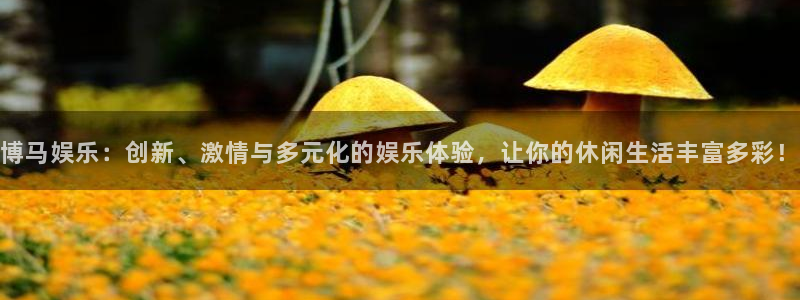 尊龙一人生就是搏：博马娱乐：创新、激情与多元化的娱乐体验，让你的休闲生活丰富多彩！