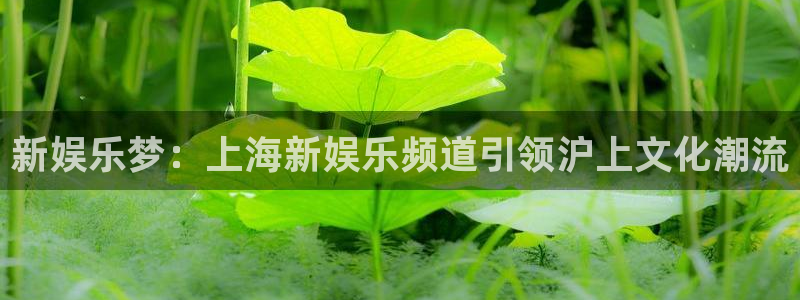 尊龙凯时人生就是搏官网登录：新娱乐梦：上海新娱乐频道引领沪上文化潮流