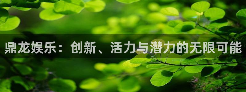 尊龙凯时人生就是搏z6：鼎龙娱乐：创新、活力与潜力的无限可能